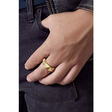 Room101 Gold Plated Stainless Steel 9mm Mens Punk Rock Ring - Size 12
