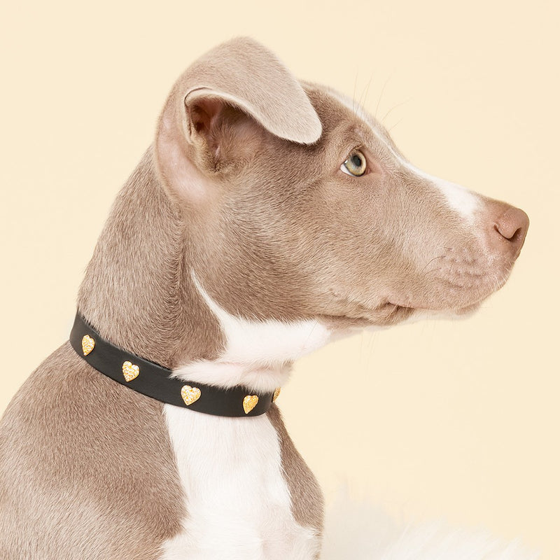 Heart Studded Dog Collar - Black