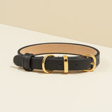 Round Studded Dog Collar - Black